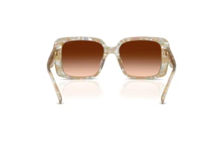 [glasses-back-view] Coach CAD54 (HC8424U - 586874)