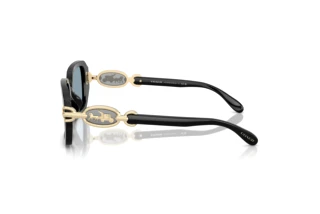 [glasses-side-view] Coach CAD74 (HC8425U - 500272)