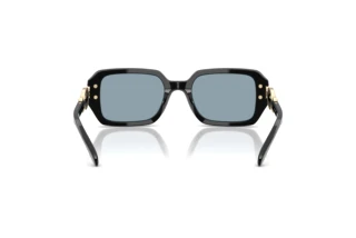[glasses-back-view] Coach CAD74 (HC8425U - 500272)