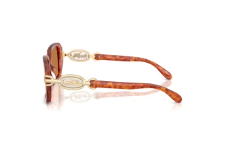 [glasses-side-view] Coach CAD74 (HC8425U - 577473)