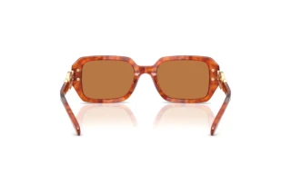 [glasses-back-view] Coach CAD74 (HC8425U - 577473)