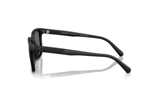[glasses-side-view] Coach CAD81 (HC8426U - 500281)