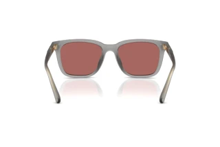 [glasses-back-view] Coach CAD81 (HC8426U - 58750H)