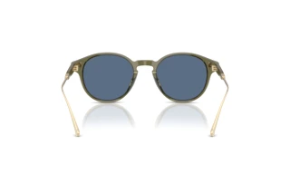 [glasses-back-view] Coach CAD83 (HC8428U - 584880)