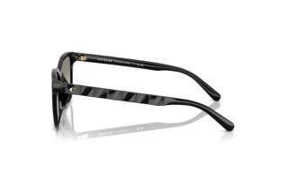 [glasses-side-view] Coach CAE86 (HC8429D - 50023C)