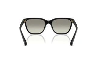 [glasses-back-view] Coach CAE86 (HC8429D - 50023C)