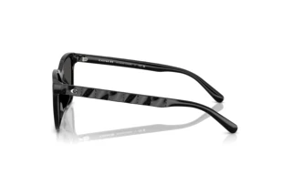 [glasses-side-view] Coach CAE86 (HC8429D - 500287)