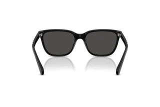 [glasses-back-view] Coach CAE86 (HC8429D - 500287)