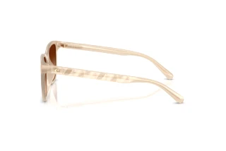 [glasses-side-view] Coach CAE86 (HC8429D - 588374)