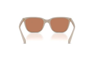 [glasses-back-view] Coach CAE86 (HC8429D - 58843)