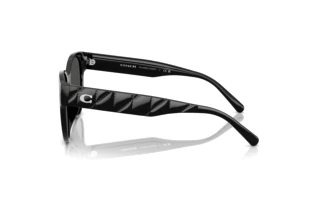 [glasses-side-view] Coach CAE87 (HC8430D - 500287)