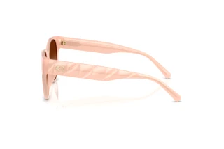 [glasses-side-view] Coach CAE87 (HC8430D - 511374)