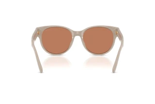 [glasses-back-view] Coach CAE87 (HC8430D - 58843)