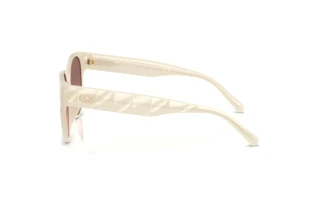 [glasses-side-view] Coach CAE87 (HC8430D - 588513)