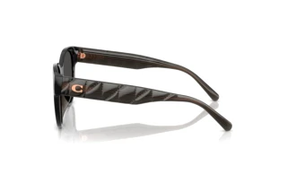 [glasses-side-view] Coach CAE87 (HC8430D - 589787)