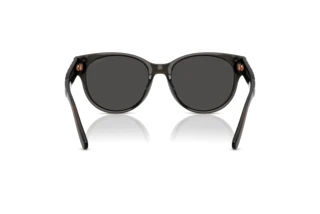 [glasses-back-view] Coach CAE87 (HC8430D - 589787)