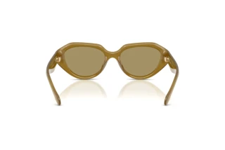 Vedere din spate Coach CBY77 (HC8433U - 590230)