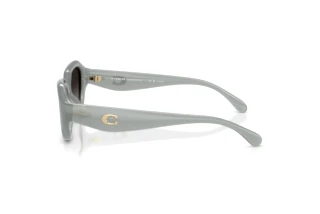 Vedere laterală Coach CBY77 (HC8433U - 5905T3)