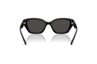 Vedere din spate Coach CBY91 (HC8434U - 500287)