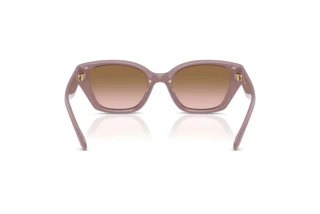 Vedere din spate Coach CBY91 (HC8434U - 549511)