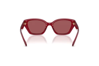 Vedere din spate Coach CBY91 (HC8434U - 5526D0)