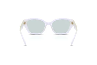 Vedere din spate Coach CBY91 (HC8434U - 5903RG)