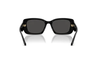 Vedere din spate Coach CBY82 (HC8435U - 500287)