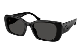 Vedere din față Coach CBY82 (HC8435U - 500287)