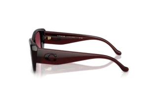 Vedere laterală Coach CBY82 (HC8435U - 59158H)