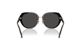 Vedere din spate Coach CBY93 (HC8436 - 500287)