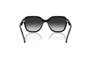 Vedere din spate Coach CBY87 (HC8437U - 50023C)