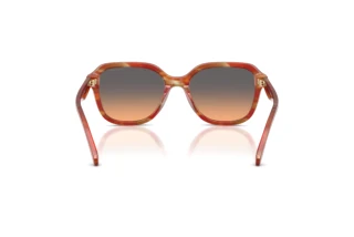 Vedere din spate Coach CBY87 (HC8437U - 590018)