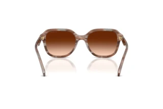 Vedere din spate Coach CBY87 (HC8437U - 590174)