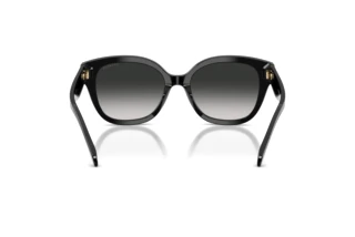 Vedere din spate Coach CBY94 (HC8438U - 500287)