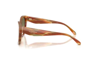 Vedere laterală Coach CBY94 (HC8438U - 5898L0)