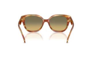 Vedere din spate Coach CBY94 (HC8438U - 5898L0)