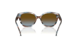 Vedere din spate Coach CBY94 (HC8438U - 589913)