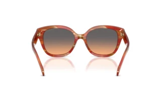 Vedere din spate Coach CBY94 (HC8438U - 590018)