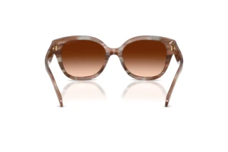 Vedere din spate Coach CBY94 (HC8438U - 590174)