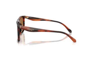 Πλευρική όψη Coach CBY95 (HC8440U - 5906/O)