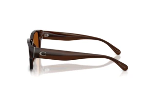 Vedere laterală Coach CBY96 (HC8441U - 591173)