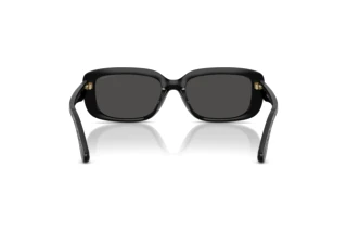 Vedere din spate Coach CBY86 (HC8444D - 500287)