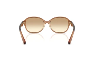 Vedere din spate Coach CBY85 (HC8445D - 565413)