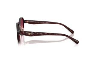 Vedere laterală Coach CBY85 (HC8445D - 59158H)