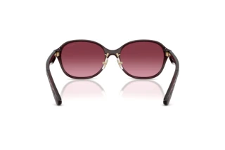 Vedere din spate Coach CBY85 (HC8445D - 59158H)