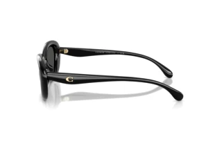 [glasses-side-view] Coach CDP35 (HC8448U - 500287)