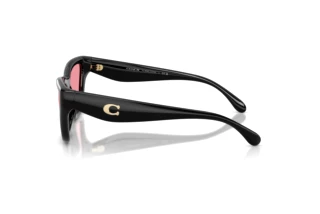 [glasses-side-view] Coach CDP33 (HC8449U - 500284)