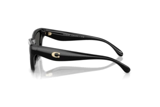 [glasses-side-view] Coach CDP33 (HC8449U - 500287)