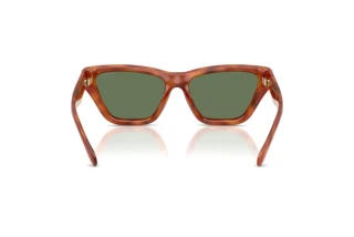 Πίσω όψη Coach CDP33 (HC8449U - 577482)