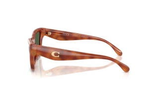 [glasses-side-view] Coach CDP33 (HC8449U - 57749A)